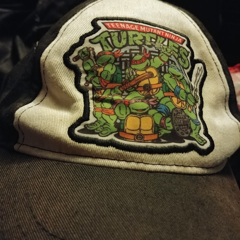 Teenage Mutant Ninja turtle hat